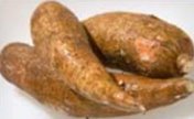 Cassava Tuber